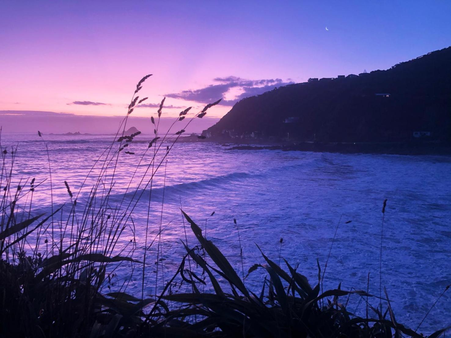 Villa Stunning Views Ocean-Front Wellington Exterior foto
